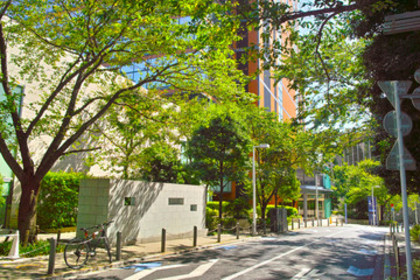 配偶者暴力相談支援センター